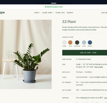 House Plants