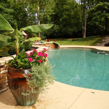 Summer Containers