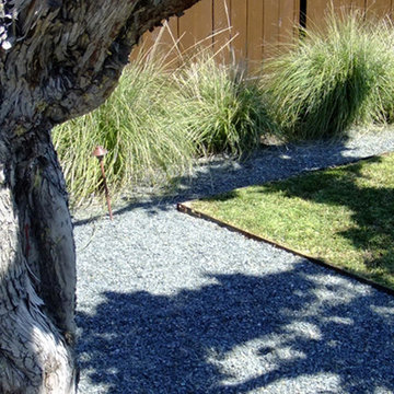 Contemporary lines