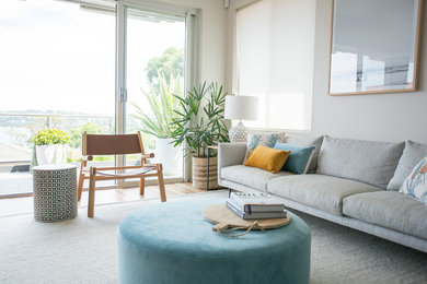 Modern living room in Sydney with grey walls and medium hardwood floors.