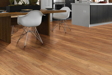 Inspiration for a vinyl floor dining room remodel in Other