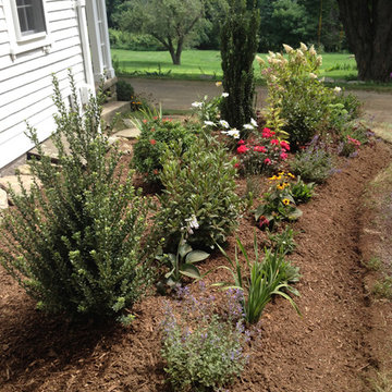 Barry Garden