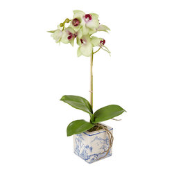 Peony Orchid In Oriental Pot - Indoor Pots & Planters