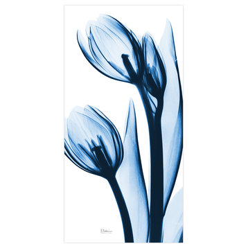 "Two Blue Tulips" Frameless Free Floating Panel Graphic Wall Art, 48"x24"