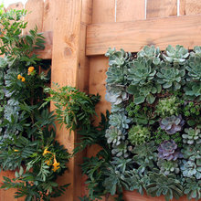 Living wall