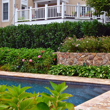 Pool & Landscape