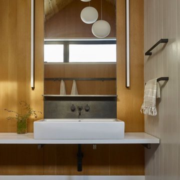 ROBERT YOUNG ARCHITECTS-FURTHER LANE POOL HOUSE