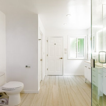Bright Contemporary Master Bath