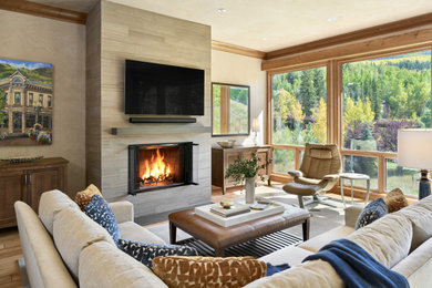 Transitional living room photo in Denver