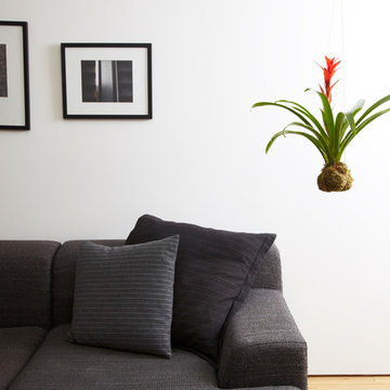 Williamsburg Loft
