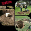 Septic Tank Systems 