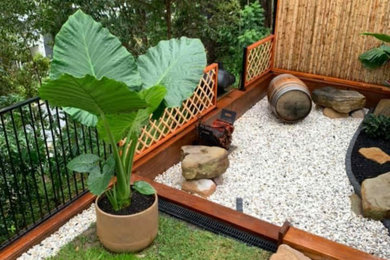 Inspiration for a modern garden in Sunshine Coast.