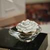 Dream Mini- Crystal Edition Porcelain Diffuser, Gardenia