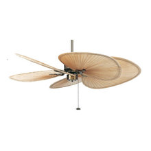 Fans