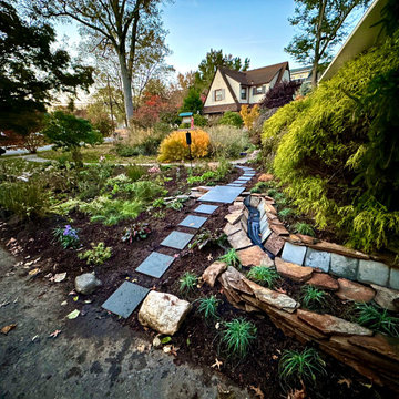 Water Management Habitat Rain Garden