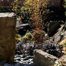 Brett and Julies Front Yard Ideas