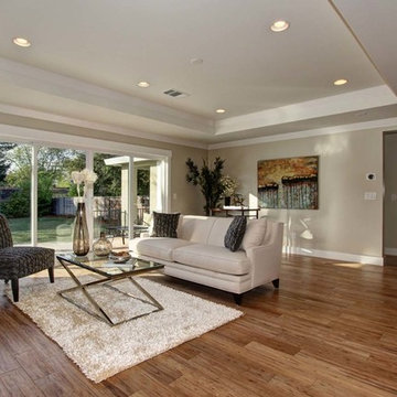 Modern Living Room