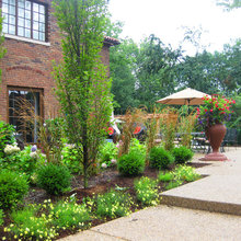 corrie_sorensen's ideas