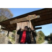 Emily Lin's photo