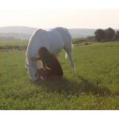 Gh Falah's photo