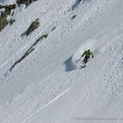 Nicolas Rey's photo