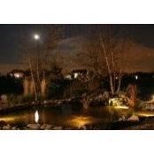Michael Conley's photo