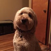 Jill Blackson's photo