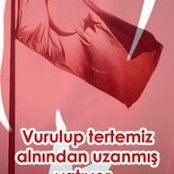 Photo de İsmail Hakkı Eltaş