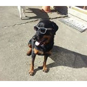 Foto von Jackson Golden