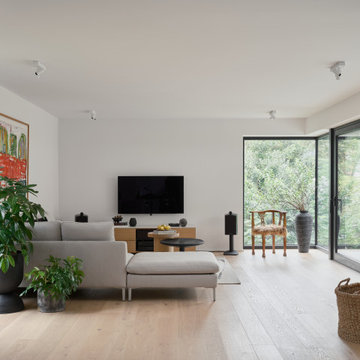 ECO BERLIN THREE LEVEL REMODEL