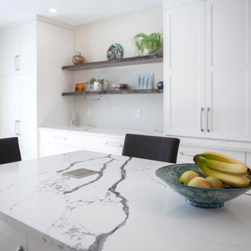 Extended Galley Kitchen