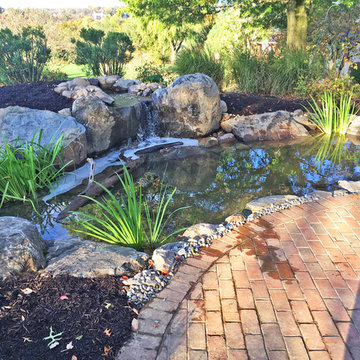 Pond Reconstruction & Remodel