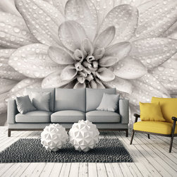 Wallpaper Murals - Products