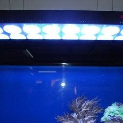 LED Aquarium Light - Products