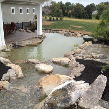 Pond