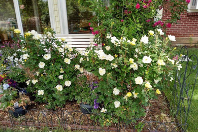 Inspiration for a traditional landscaping in Denver.