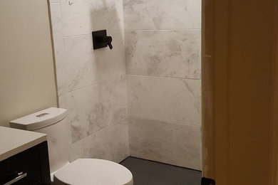Potomac basement shower bathroom