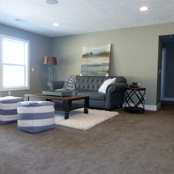 2014 Spring Parade Home Basement