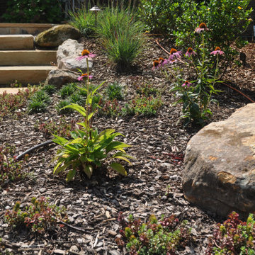 Landscape for Dry Conditions