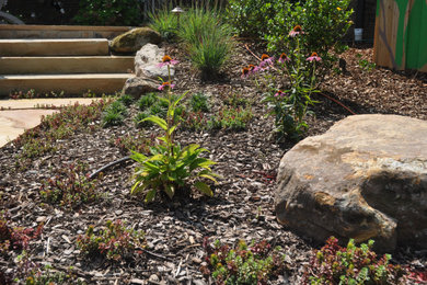 Photo of a southwestern landscaping in Other.