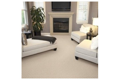 HOST Carpet Cleaning Process