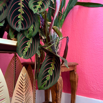 My Botanical Barbie Century Home