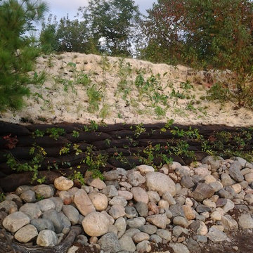 Shoreline Restoration of Campsite on Hot Dog Island on Turtle Flambeau Flowage