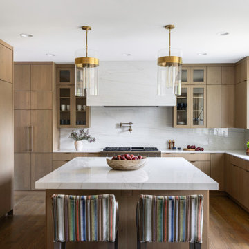 Vienna Contemporary Kitchen