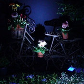 Living pictures garden design's photo