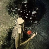 Enas Noman's photo
