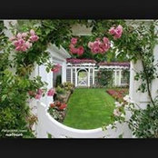 Amani Abdel's photo