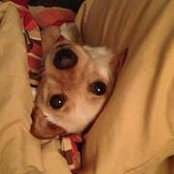 Amber Hallock's photo