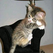 Fred Strelzoff's photo
