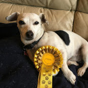 Fergus Brown's photo